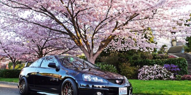 Best Japanese Cars