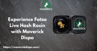 Fatso Live Hash Rosin