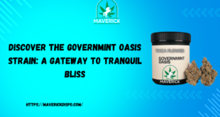 Governmint Oasis Strain