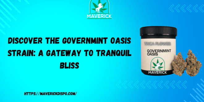 Governmint Oasis Strain