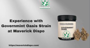 Governmint Oasis Strain