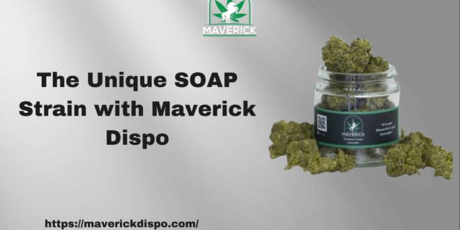 SOAP Strain