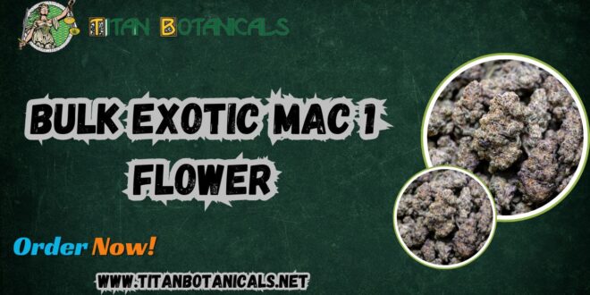 Bulk Exotic Mac 1 Flower