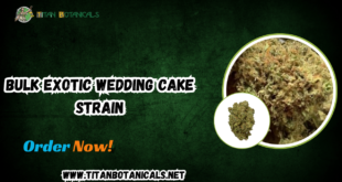 Bulk Exotic Wedding Cake Strain