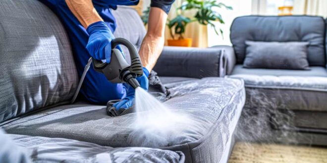 Upholstery Cleaning