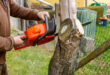 Expert Tips for Safe and Efficient Tree Removal and Trimming