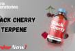 Black Cherry Terpene