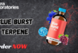 Blue Burst Terpene