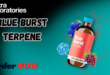 Blue Burst Terpene