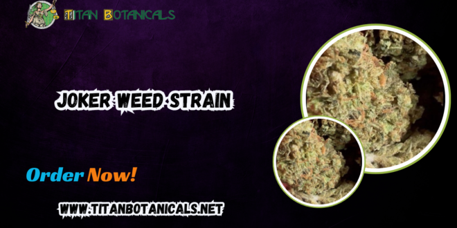 JOKER WEED STRAIN