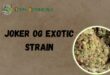 Joker OG Exotic Strain