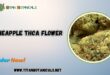 Pineapple THCA Flower