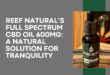 Full Spectrum CBD Oil 600mg