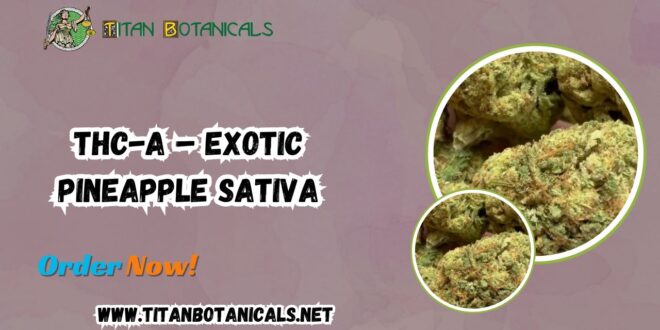 THC-A – Exotic Pineapple Sativa