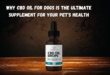 CBD Oil for Dogs