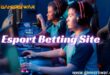 Esport Betting Site Provider in India